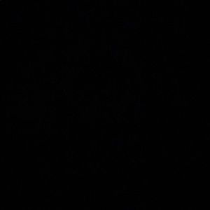 Meet your Posher, Kaitlin